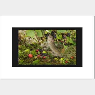 Little mouse nibbling the brambles Posters and Art